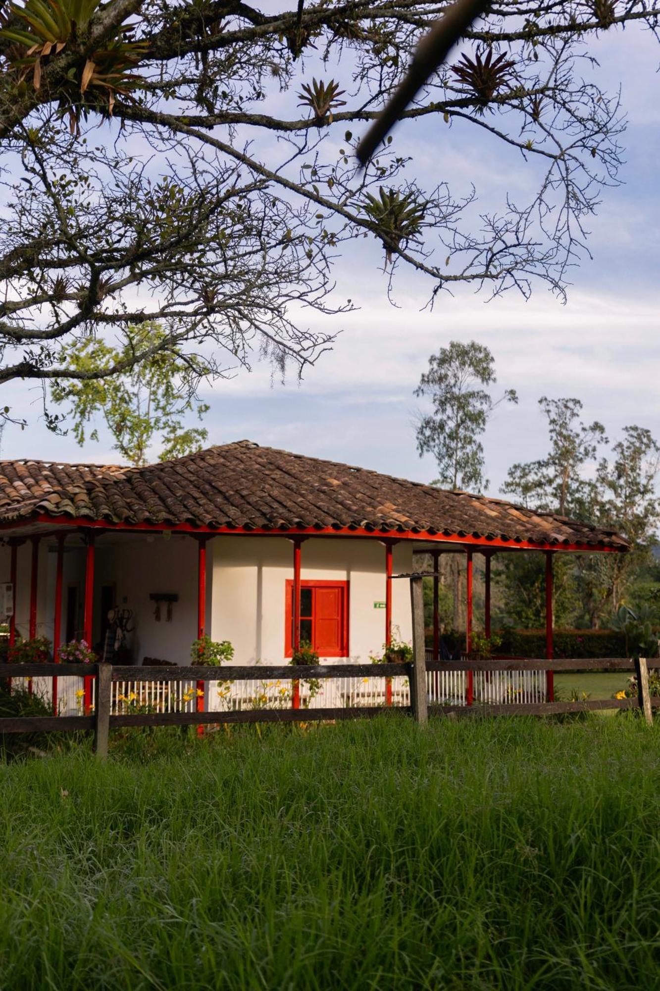 La Cabana Ecohotel - Valle Del Cocora Salento Exterior photo